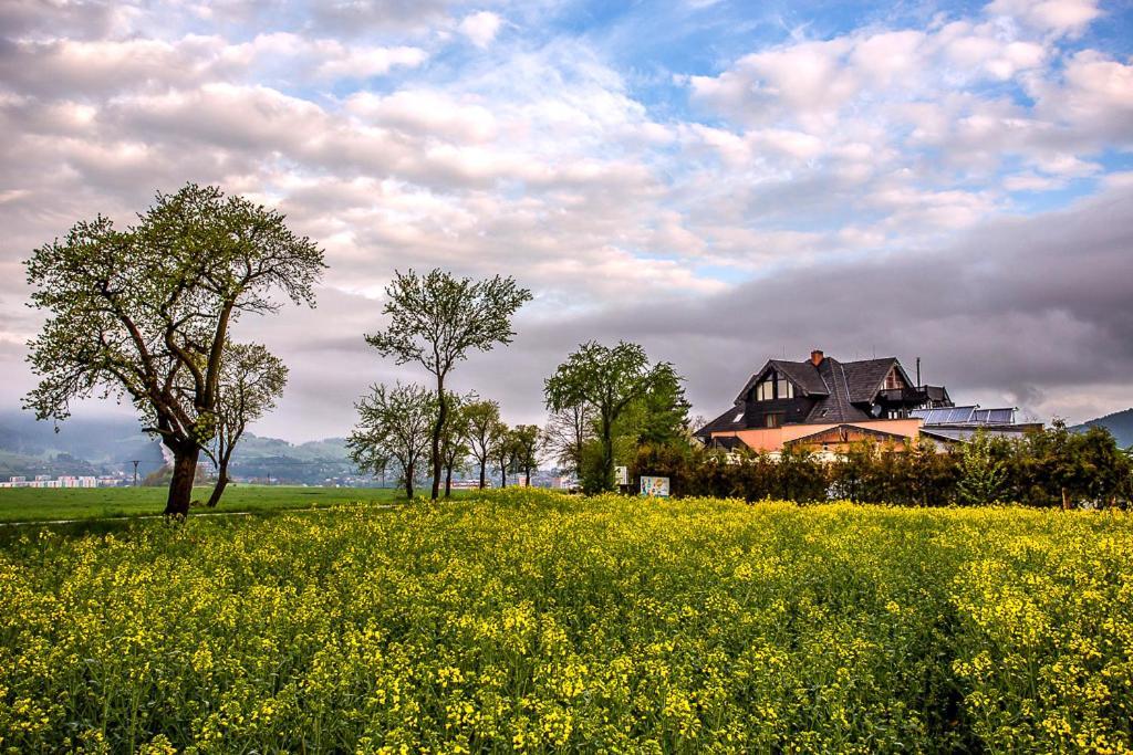 Vila Fenix B&B Ruzomberok Exteriér fotografie