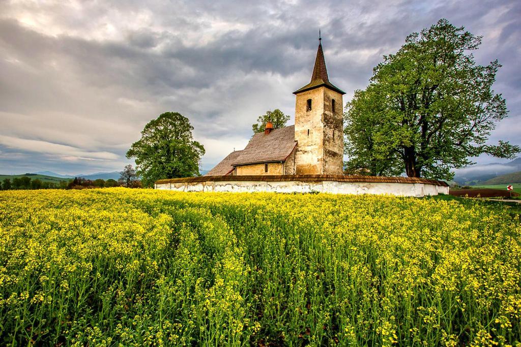 Vila Fenix B&B Ruzomberok Exteriér fotografie